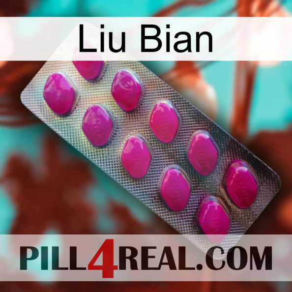 Liu Bian 09